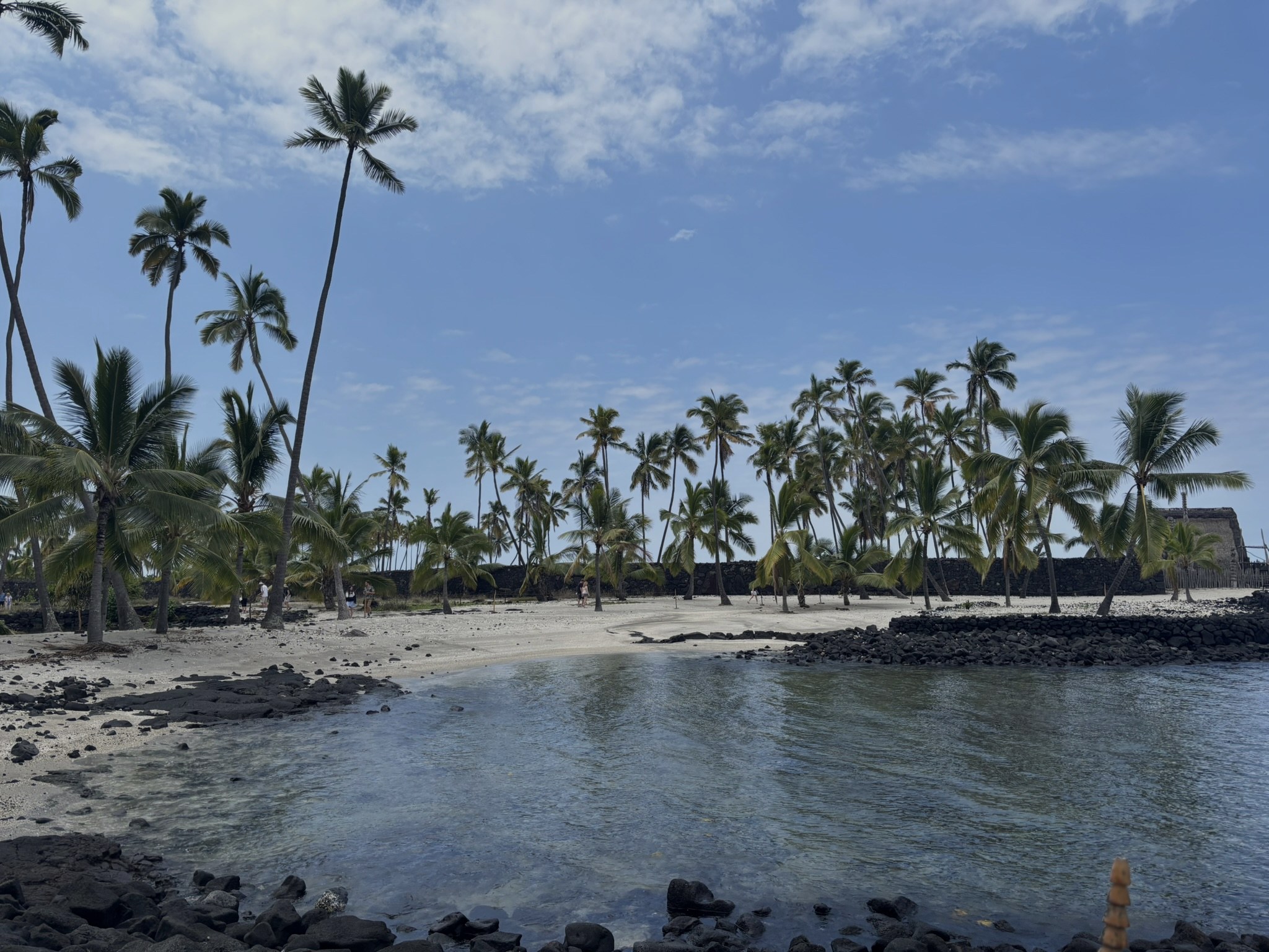 Palm-lined cove at Puuhonua o Honaunau