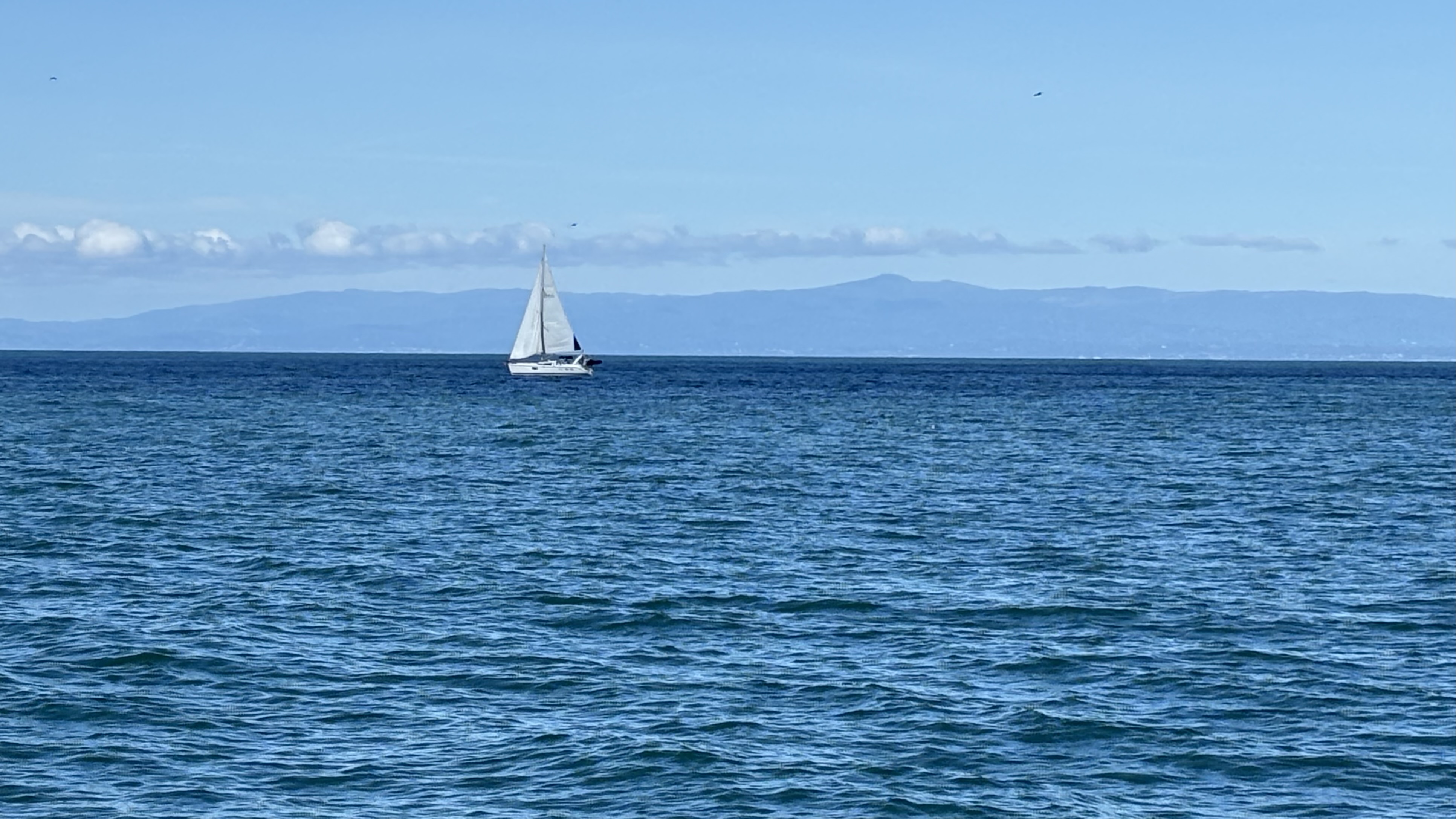 Sailboat on Monterey Bay