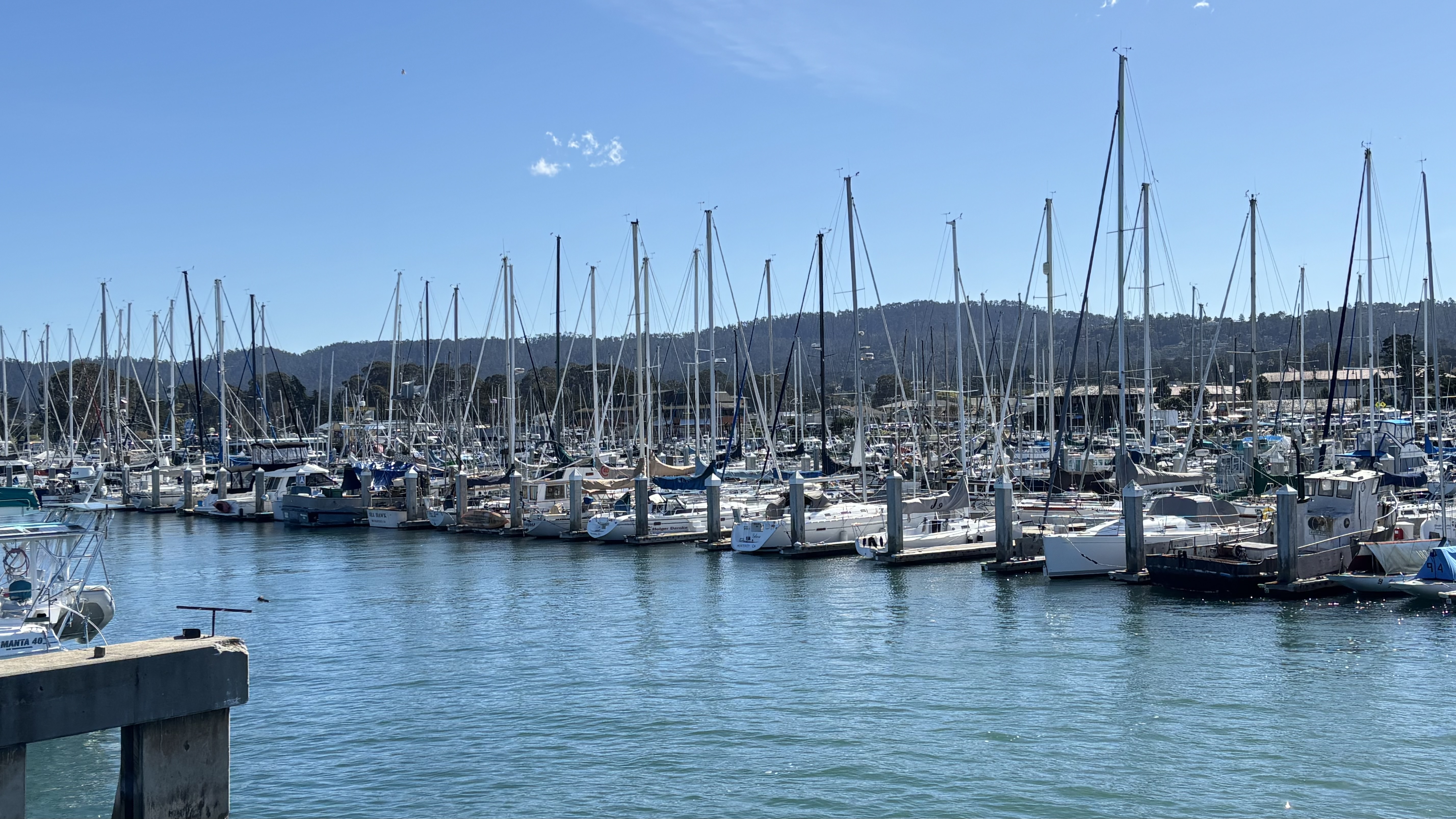 Monterey marina